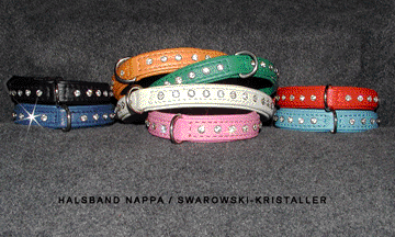 strass halsband koppel sele